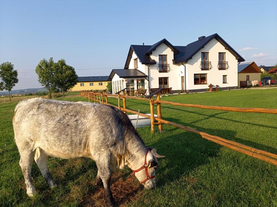 Zagroda Na Borach Jablonka  Esterno foto